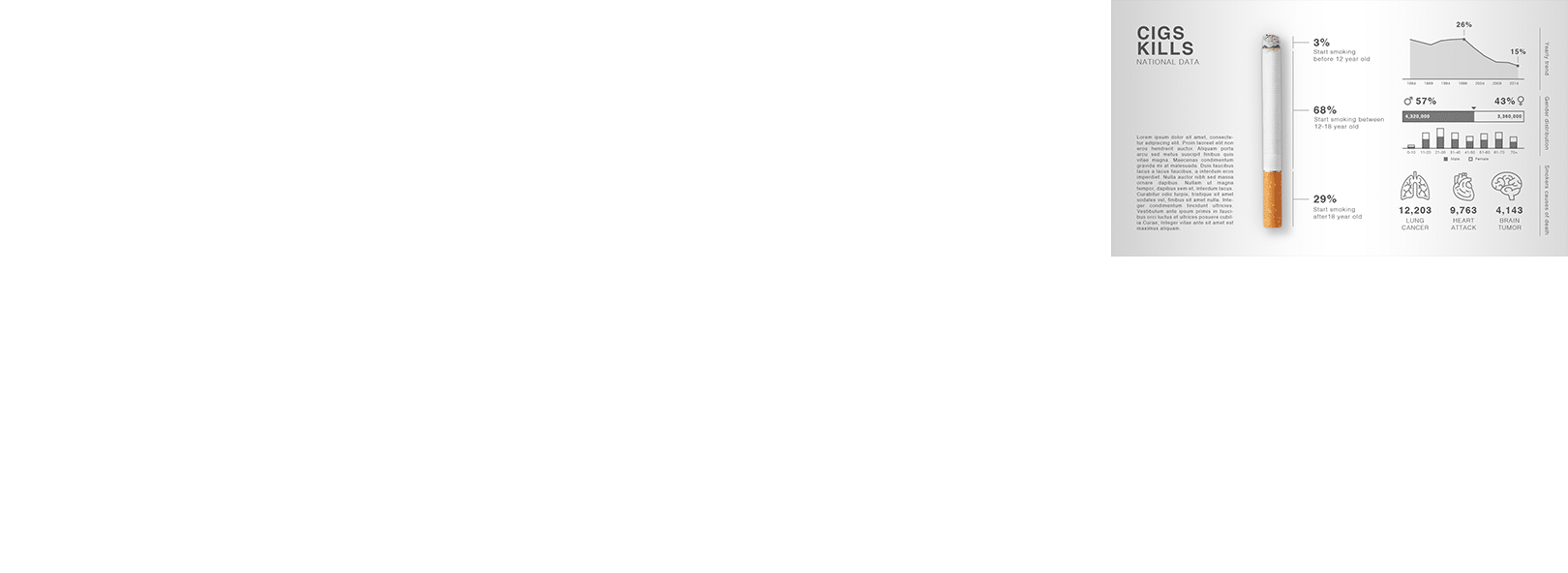 Layer
