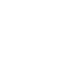 Image module