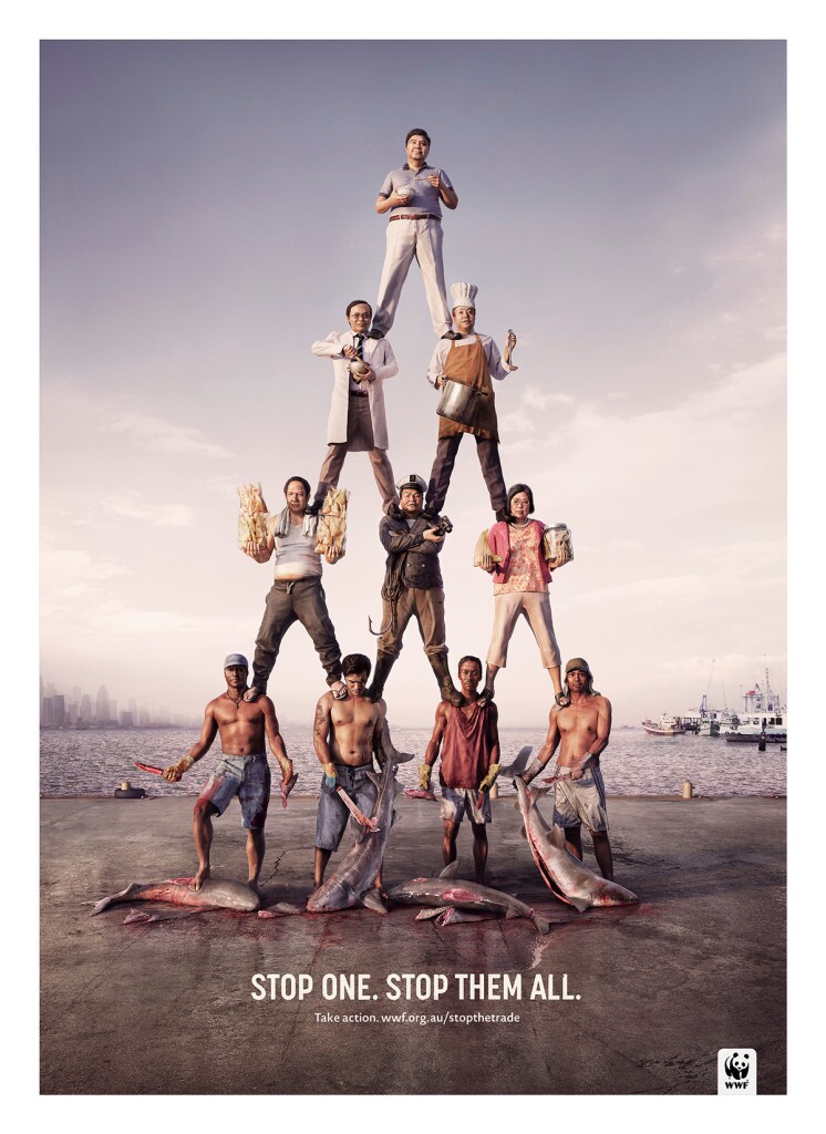 تصور معلومات مكافحة الصيد الجائر