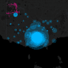 Data Map Victoria
