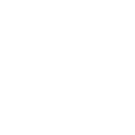Japanese car manufacturer, Toyota, workshop trainer