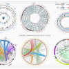 Healthcare Genomic Data Visualisation