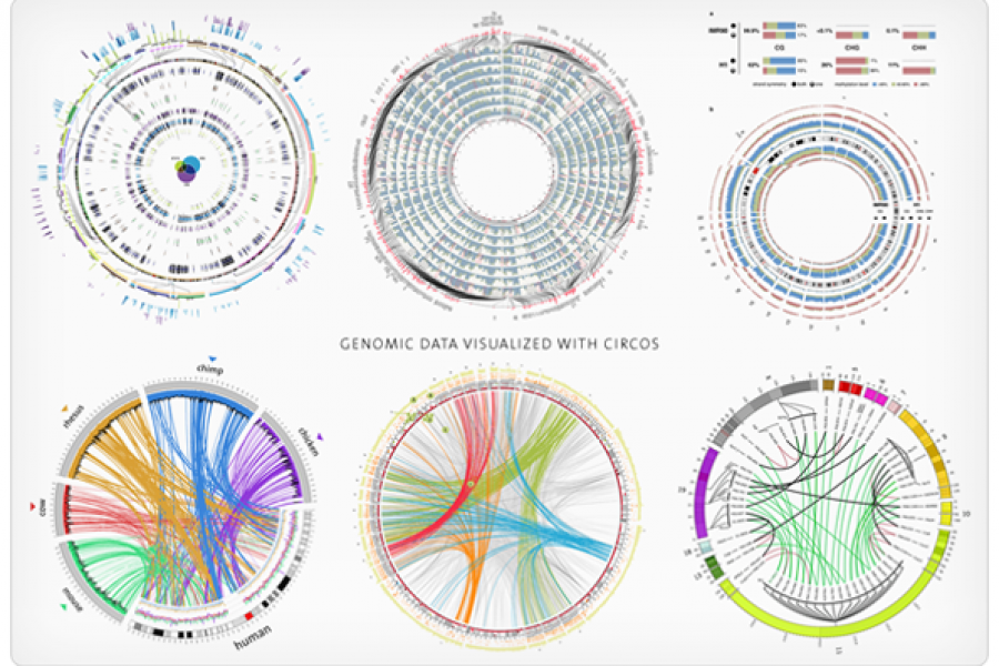 Data Visualisation Tools: A Curated List