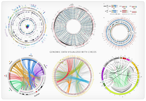 System Map Data Visualisation