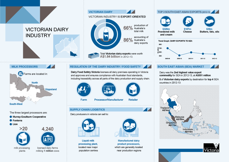 data report