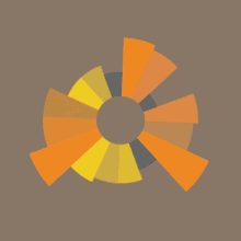 DataVisualisation-Workshop-Types-Nightinggale