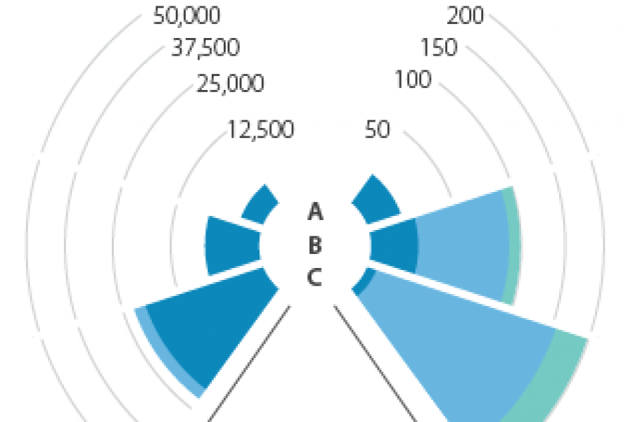 Xero Infographic Report Designed by Datalabs