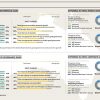 Infographics Australia CPA Datalabs