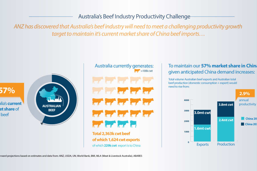 China Beef Animated Data Video for ANZ