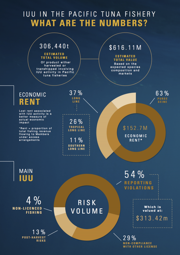 sample infographics design sample infographics design