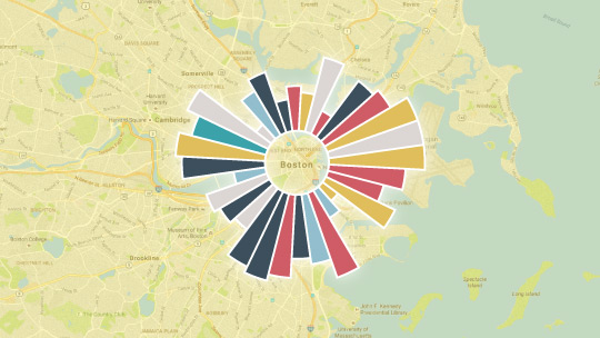 Strategy Consultancy Data Visualization Boston Image