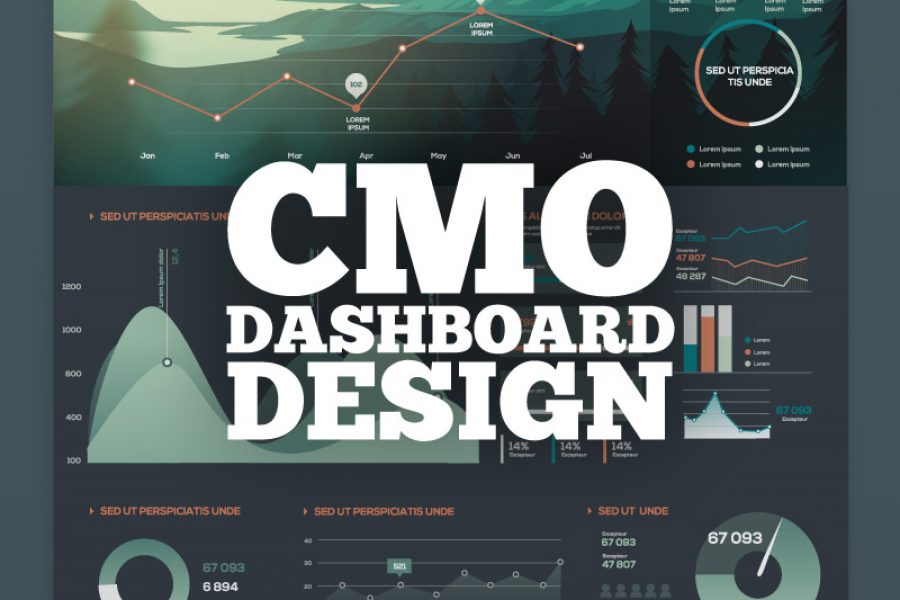 Visualizing Data for the Chief Marketing Officer (CMO) Presentation