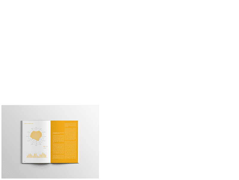 Layer