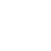 Image module