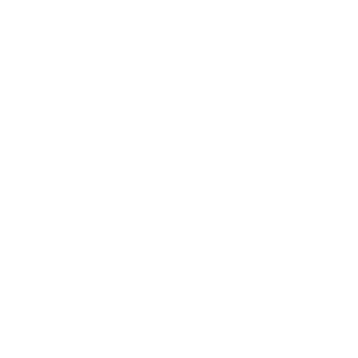 Adidas Logo - Data Visualization Client in Europe